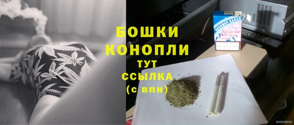 гидра Сатка