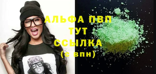 индика Баксан