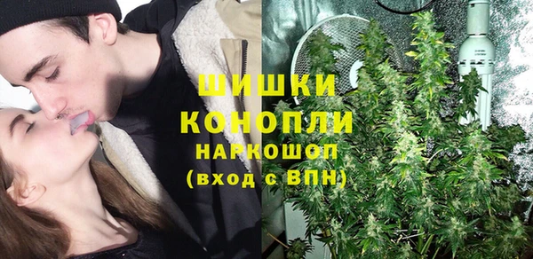 стафф Аркадак
