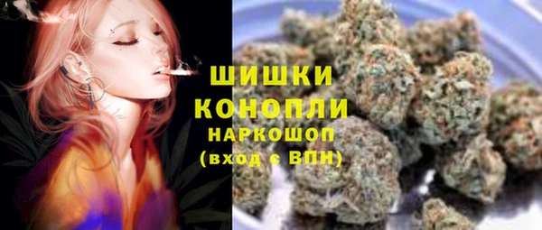 индика Баксан